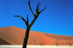 B_Pfeiff_Dead Vlei