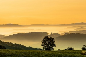 2022 Deutsche Fotomeisterschaft