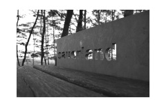 Volker_Sauerland