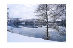 Volker_Verse