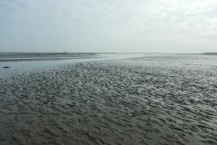 Borkum_017