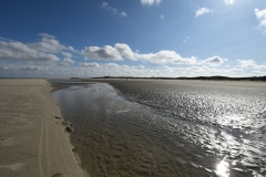 Borkum_019