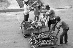 Banana-Selling