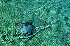Pool Ferdinand Jendrejewski Medaille