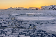 Arctic Sunset