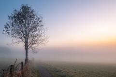 Misty Sauerland