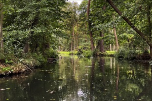 Spreewald