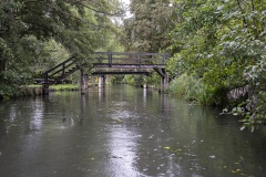 Spreewald_002