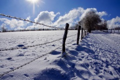 Winter-im-Sauerland